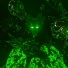 EXNLXDE