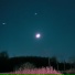 the synthnoise