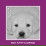 Dog Chill Out Music
