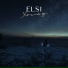ELSI