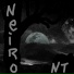 Neiro NT