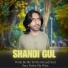 Shandi Gul