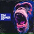 Tim Ziemer