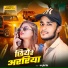 Raju Prit Singh