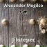 Alexander Mogilco