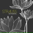 Gran Orquesta Viena Harmony