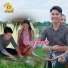 ជ យ ស វ ត