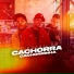 MC Jotinha, DJ PL, MC Levin, Mc Lucks