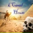k.Camel