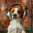 Human Mind Universe, Loopy L ASMR, Music Moodz