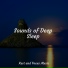Sleepy Night Music, Easy Sleep Music, Zarobi