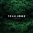 Schallmoos