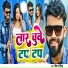 Biru Rangeela