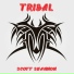 Scott Shannon