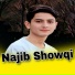 Najib Showqi