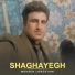 Mohsen Lorestani