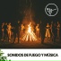 Relajacion, Fire Sounds, Focus Chamber