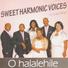 Sweet Harmonic Voices feat. Chilly Mthiya