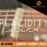 Music Solution