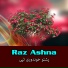 Raz Ashna