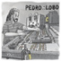 Pedro R Lobo