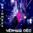 Чёрный Пёс