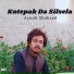 Ayoub Shahzad