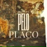 Moraes MC, Mc Pepê ZS, Dj ak beats