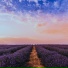 The Relaxing Booth, Trending Lofi