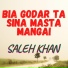 Saleh Jan