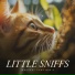Cats Music Zone