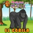 Ardillita Moly
