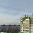 kivi 77