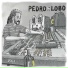 Pedro R Lobo