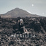Metallesa