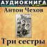 Аудиокнига в кармане, Максим Доронин