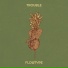 Flowtype