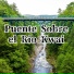 Los Incateños, Julio Miguel