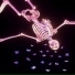 CANXPSIES