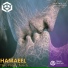 Hamaeel