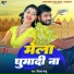 Vijay Sanju