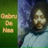 Dildaar Daljeet Niku