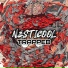 NESTICOOL