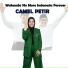 camel petir