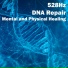 The Healing Project, Schola Camerata