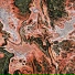 Seagrerpentam