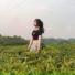 ARI FOUT