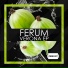 Ferum