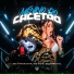 Mc Pipokinha, Mistério Dj, MC G DS feat. Love Funk