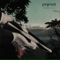 PRGMAT